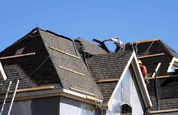 Best Local Roofing Companies  in Siesta Acres, TX