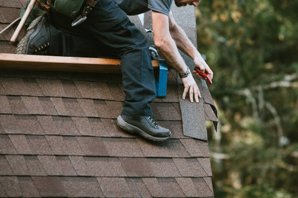 Best Commercial Roofing Services  in Siesta Acres, TX